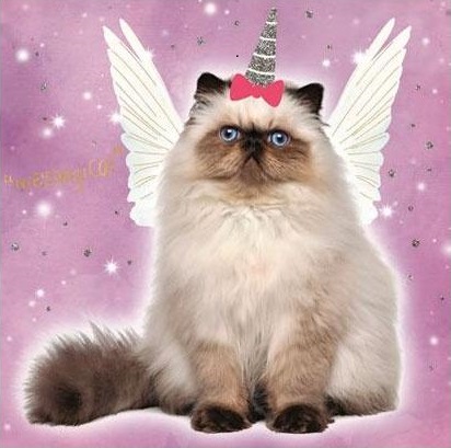 (image for) Meowgical Cat Unicorn Card (ANA32502)