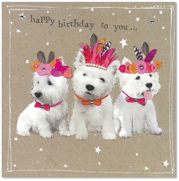 (image for) Happy Birthday Card (FAN119)