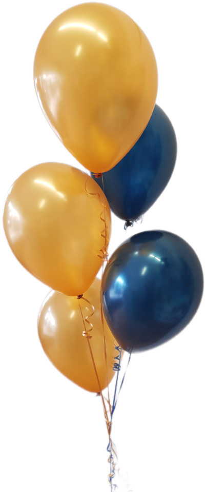 (image for) 5 Balloon Floor Bunch (Float Time 3+ Days)