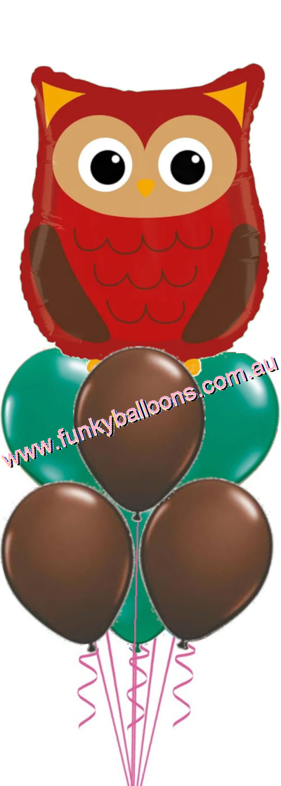(image for) Woodland Owl Balloon Bouquet